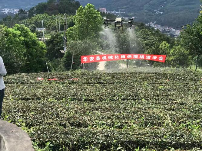 茶叶机械化植保 华安县2021年特色产业演示会助力茶产业升级